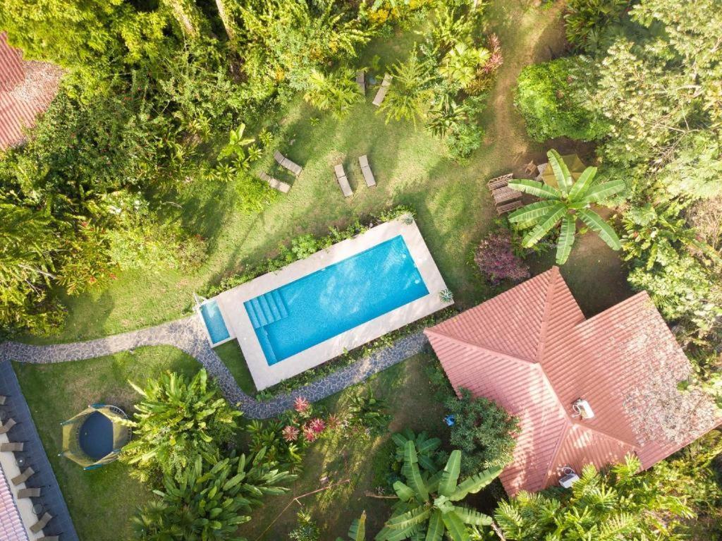 Villa Pina Dorada Dependencia Del Hotel Casa Merlin Puerto Viejo de Talamanca Dış mekan fotoğraf