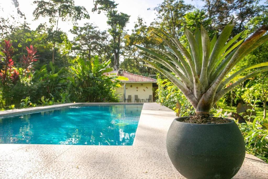 Villa Pina Dorada Dependencia Del Hotel Casa Merlin Puerto Viejo de Talamanca Dış mekan fotoğraf