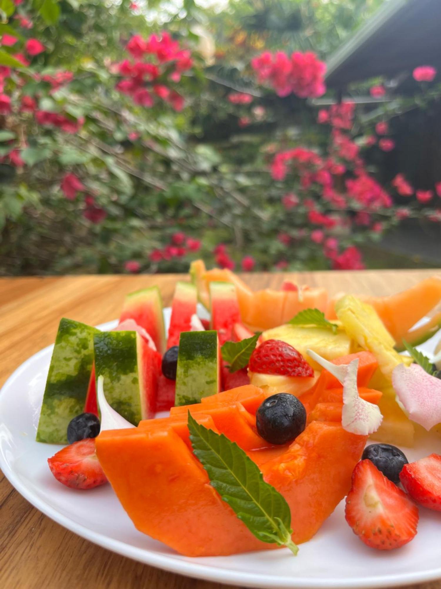 Villa Pina Dorada Dependencia Del Hotel Casa Merlin Puerto Viejo de Talamanca Dış mekan fotoğraf
